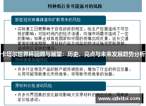 卡塔尔世界杯回顾与展望：历史、亮点与未来发展趋势分析